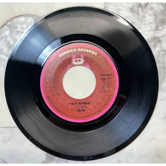 Isis Icy Winds 45 Funk Soul 1975 Buddah Records 511 - Picture 6 of 6